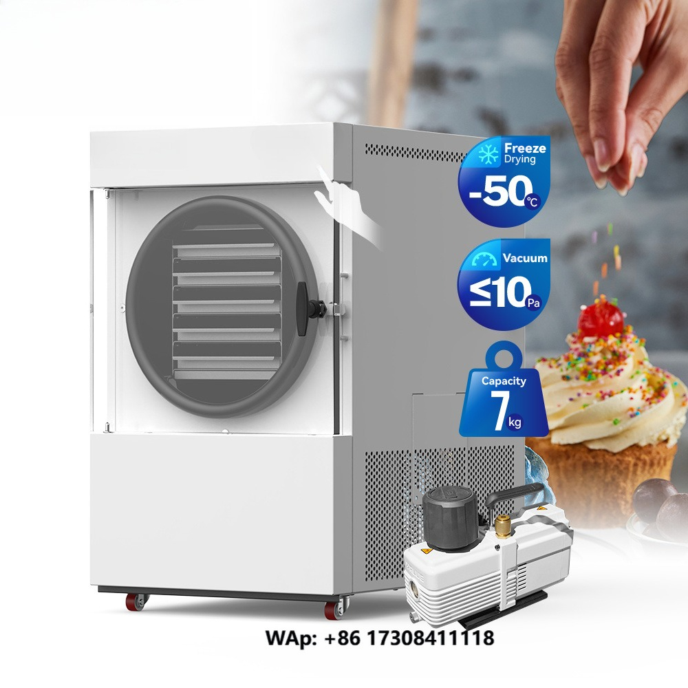 Food Storage Machine - Vacuum Freeze Dryer Machine with Pump