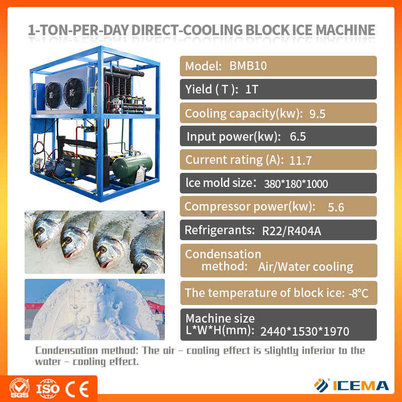 ICEMA Industrial PLC Big Ice B - Food Storage For Long Term recension och pris