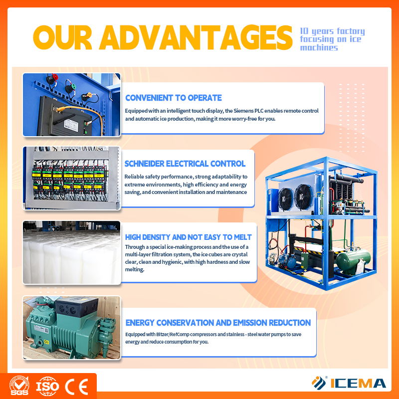 ICEMA Industrial PLC Big Ice B - Food Storage For Long Term recension och pris