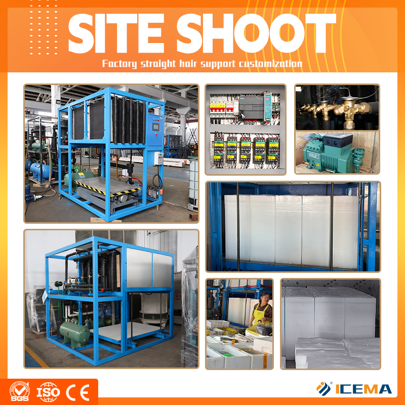 ICEMA Industrial PLC Big Ice B - Food Storage For Long Term recension och pris
