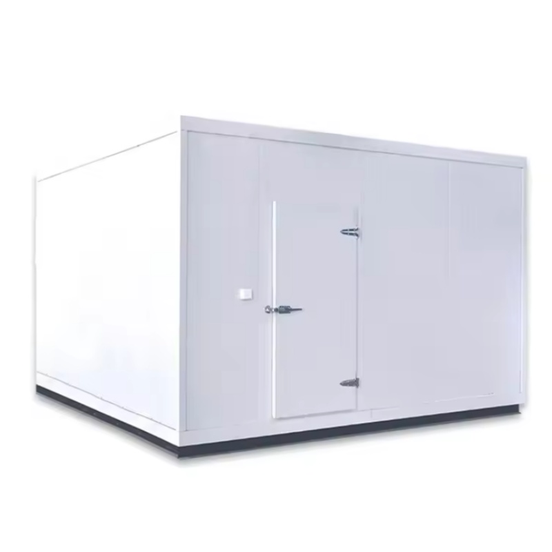 20Ft Commercial Cold Room Cont - Food Storage Unit recension och pris